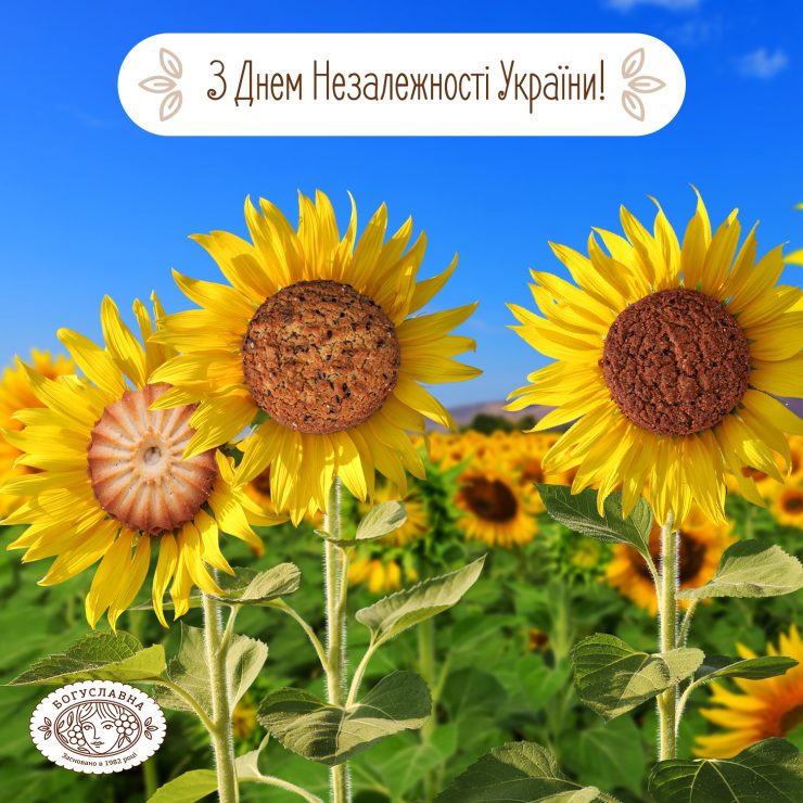 С Днём Независимости, Україна!