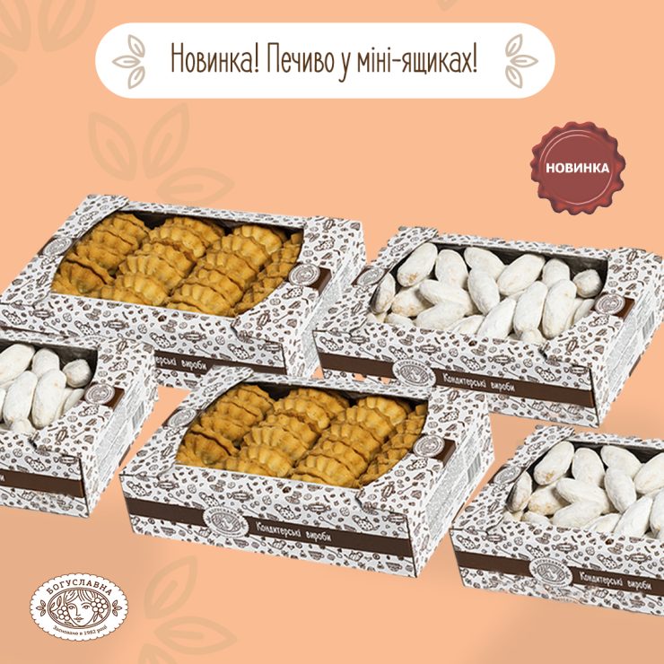 Novelty! Cookies in mini boxes!